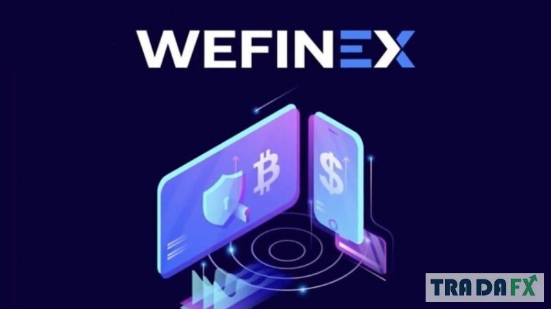 Giải mã: Wefinex.net lừa đảo hay không