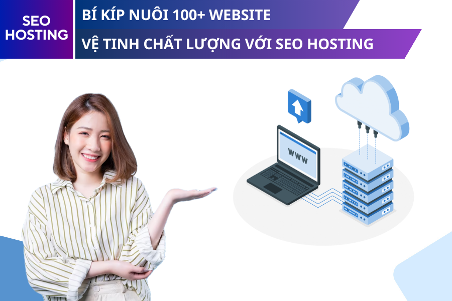 Bí kíp nuôi 100+ website vệ tinh chất lượng với SEO hosting